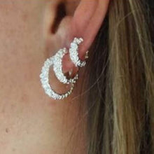 Carica l'immagine nel visualizzatore di Gallery, silver earrings